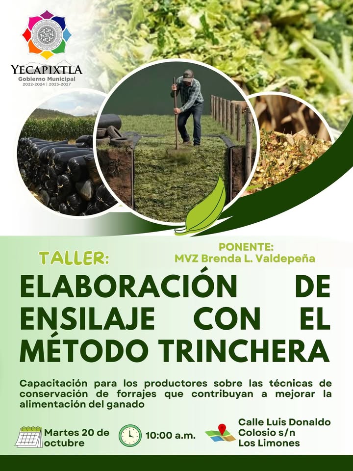 Invitan a Productores de Limones al Taller “Elaboración de Ensilaje con el Método Trinchera” en Yecapixtla