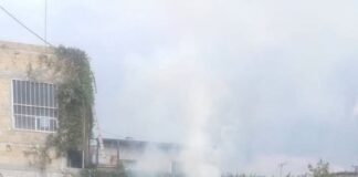 Bomberos de Cuautla Atiende Incendio de Pastizal en la Colonia Vicente Guerrero