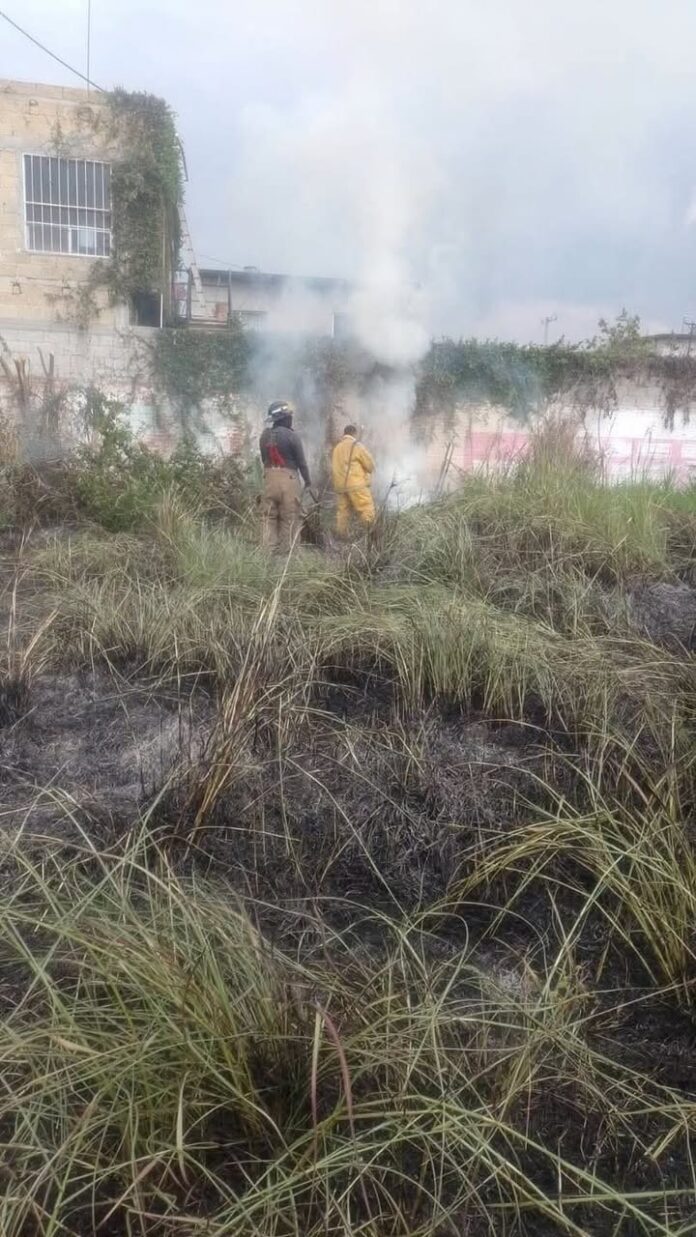 Bomberos de Cuautla Atiende Incendio de Pastizal en la Colonia Vicente Guerrero