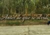 Presentan el Documental “Antes que se Olvide” en el Concurso de Cine Documental con Canacine