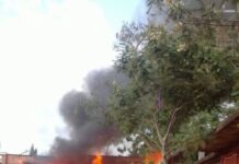 Atienden Bomberos Incendio de Basura y Tarimas en Terreno Baldío