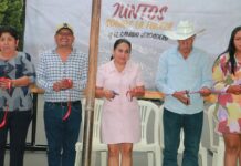 Entrega Marino Santibáñez Obra de Reencarpetamiento en la Calle Hidalgo de Tlacotepec