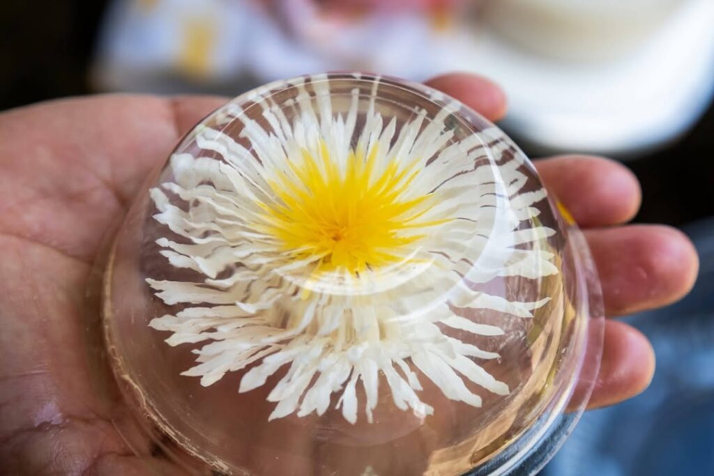 ¡Creatividad que Endulza y Emprende! Mujeres de Totolapan Aprenden el Arte de las Gelatinas Artísticas