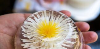 ¡Creatividad que Endulza y Emprende! Mujeres de Totolapan Aprenden el Arte de las Gelatinas Artísticas