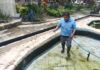 Refuerzan el Cuidado y la Limpieza del Tortugario del Parque Emiliano Zapata en Cuautla