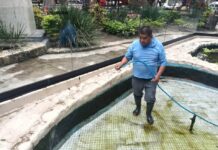 Refuerzan el Cuidado y la Limpieza del Tortugario del Parque Emiliano Zapata en Cuautla