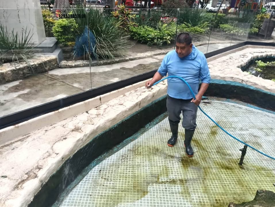 Refuerzan el Cuidado y la Limpieza del Tortugario del Parque Emiliano Zapata en Cuautla