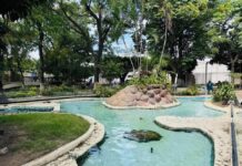 Refuerzan el Cuidado y la Limpieza del Tortugario del Parque Emiliano Zapata en Cuautla