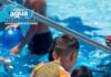 Pasa un Domingo Familiar en Agua Hedionda