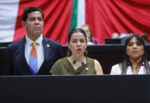 México Debe Atraer Inversiones, Proteger sus Sectores Estratégicos y Fortalecer su Seguridad Nacional