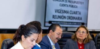 ¡Seguimos Trabajando por un Presupuesto que Atienda las Necesidades de las Familias Mexicanas!