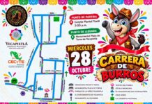Tradicional Carrera de Burros Cecyte Yecapixtla
