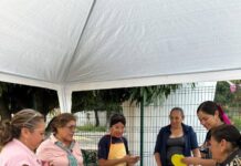 Continúa con Éxito Taller de Elaboración de PAN de Muerto en Colonia 2 de Mayo