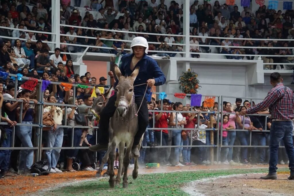 Día 7 || Tradicional Carrera de Burros | Cecyte Yecapixptla