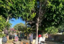 Realiza Servicios Públicos de Totolapan Limpieza de Cementerios Previo a Día de Muertos
