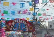 Ruth Rodríguez Participa en la Fiesta de la Cosecha 2026 en Tetelcingo