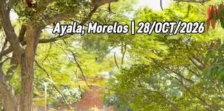 ¡Orgullo para Ayala!