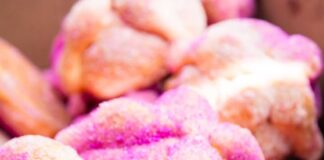 Totolapan se Llena de Aromas, Colores y Sabores