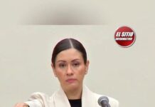 Blanca Yassahara Cruz García Asume la Presidencia Interina del INE; Exigen que Investigaciones Contra Taddei No Queden en el Olvido