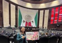 Por un México Donde Todas las Mujeres Vivamos con Seguridad, Igualdad y Oportunidades