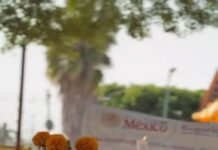 Reconocen el Cariño y la Dedicación en la Ofrenda de la Colonia Lázaro Cárdenas
