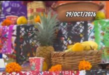 Homenaje y Tradiciones en la Colonia Narciso Mendoza
