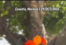 Reconocimiento a Vecinas de la Colonia 3 de Mayo por su Ofrenda y Emprendimiento