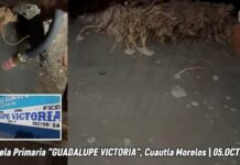 En riesgo por presencia de socavón, Primaria Guadalupe Victoria de Cuautla Morelos
