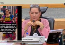 Cuestionan a Guadalupe Taddei, Presidenta del INE por Contratos Millonarios