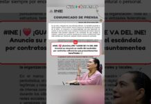 ¡Taddei se Va del INE! Anuncia su Renuncia en Medio del Escándalo por Contratos Millonarios